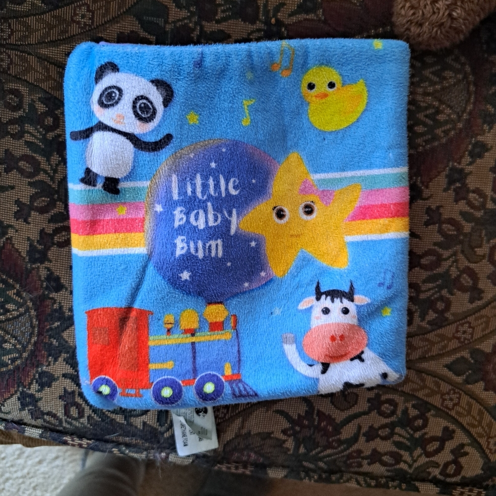 Little baby bum baby's book